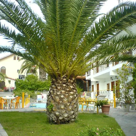 Sarikas * Polychrono